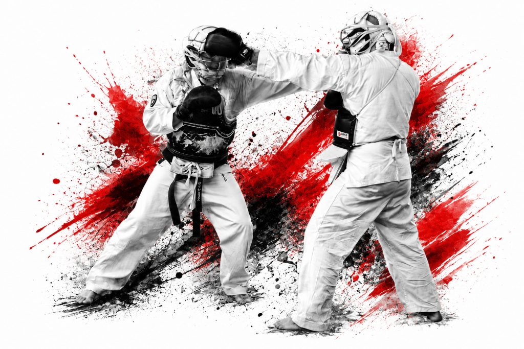 Technique de point du Nippon Kempo